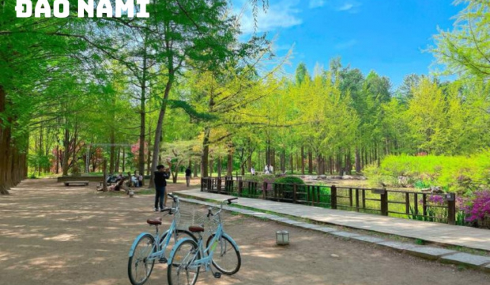 TPHCM -HÀN QUỐC - BUSAN - DAEGU - SEOUL 6N5D