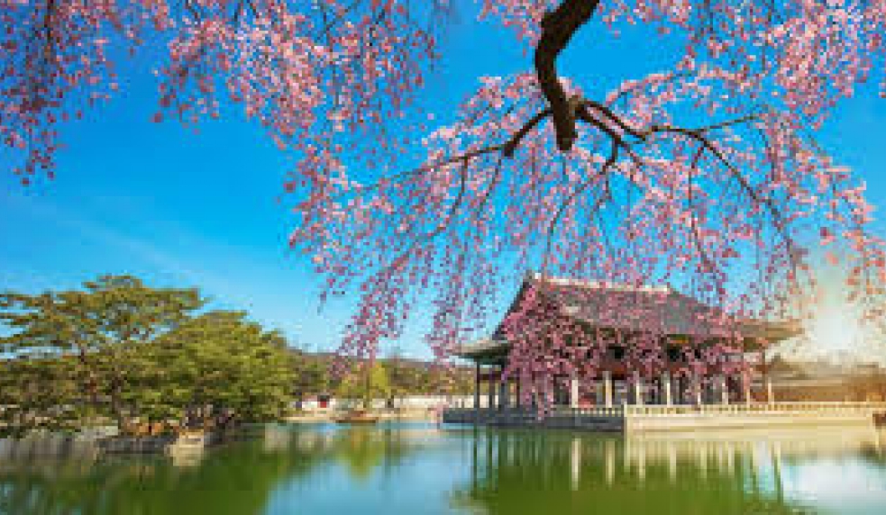 TPHCM -HÀN QUỐC - BUSAN - DAEGU - SEOUL 6N5D