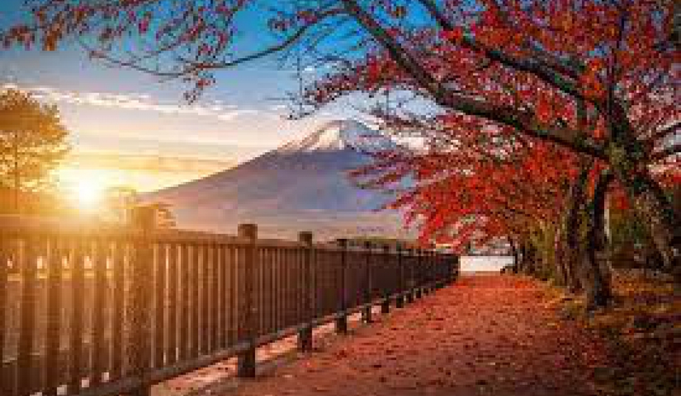 ĐÀ NẴNG- CUNG ĐƯỜNG VÀNG NHẬT BẢN 6N5Đ