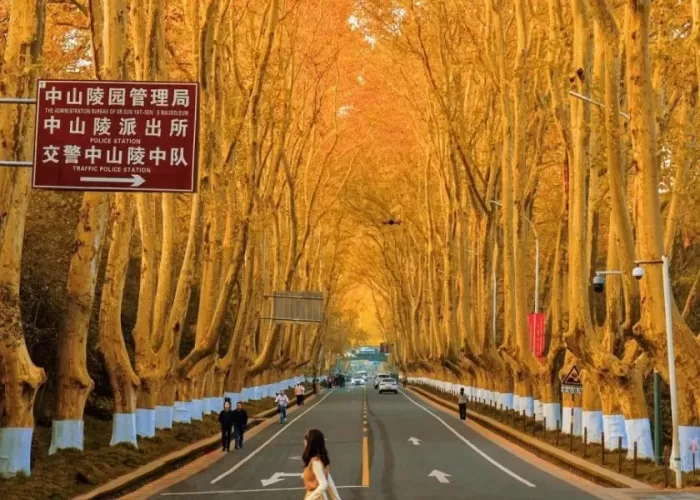 TPHCM - NAM KINH - THƯỢNG HẢI - Ô TRẤN - HÀNG CHÂU 5N5D