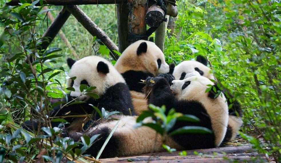  TPHCM - TRÙNG KHÁNH - THÀNH ĐÔ - CỬU TRẠI CÂU 5N5D